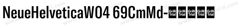 NeueHelveticaW04 69CmMd字体转换